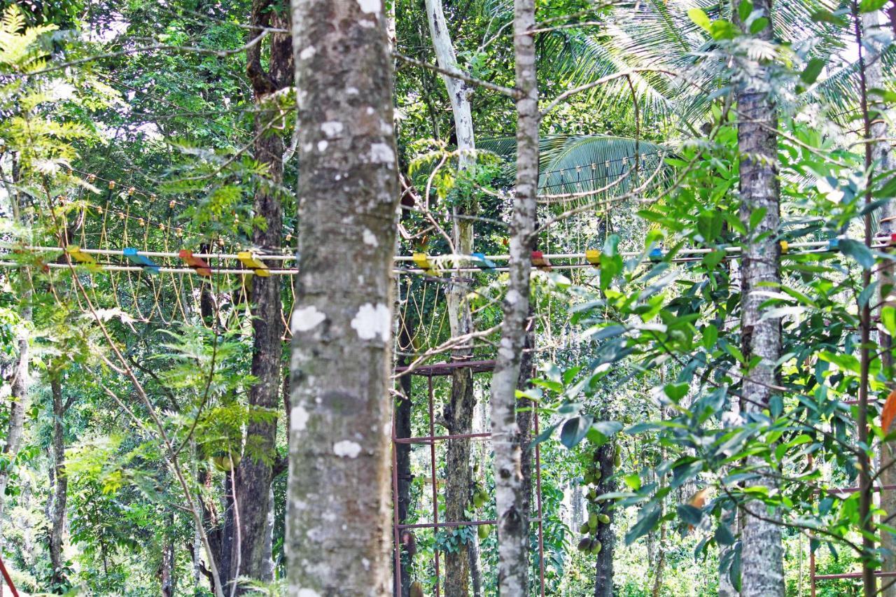 Cs County Resort Sakleshpur Exteriör bild